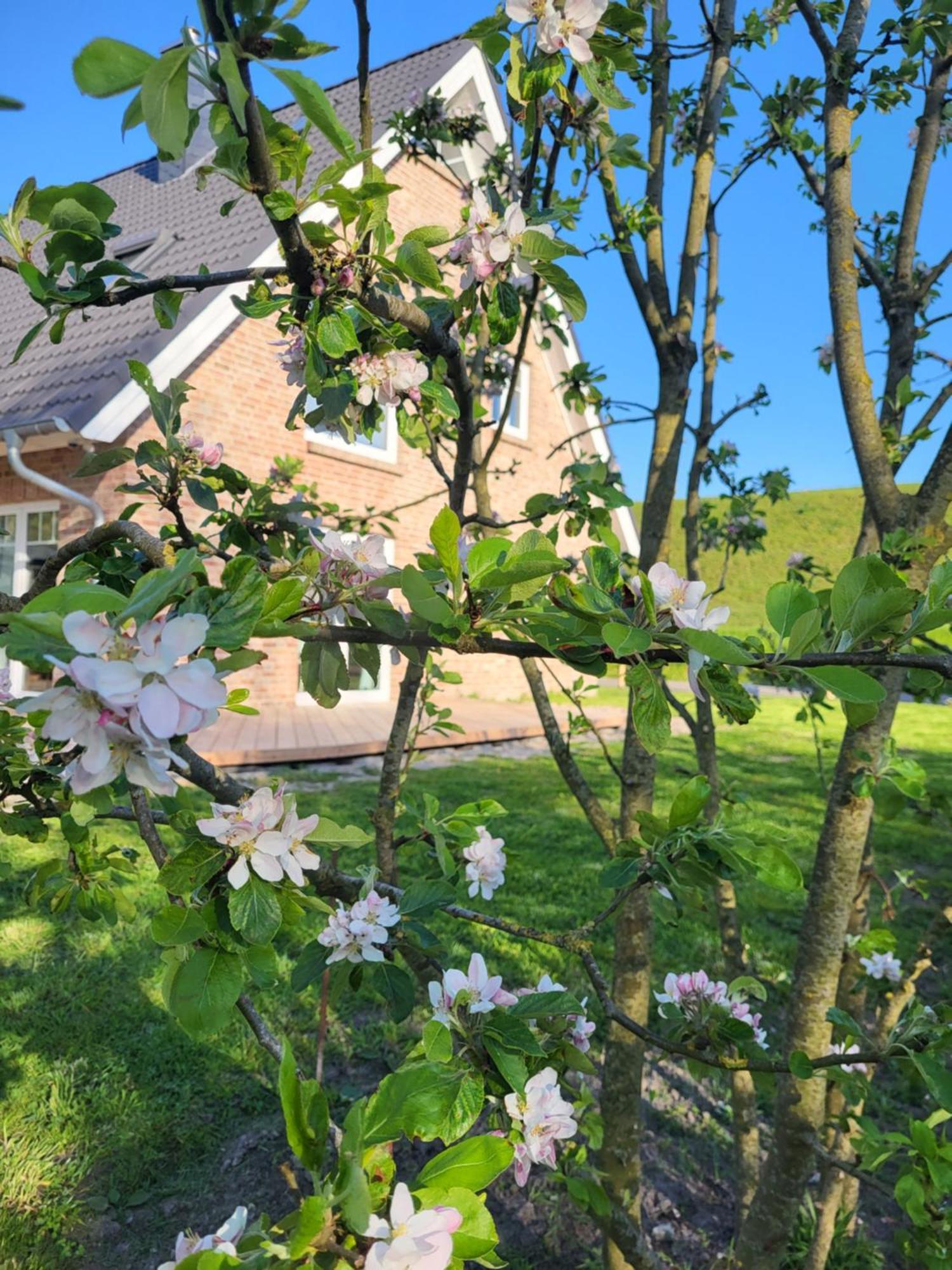 Friesenperle Apartment Tonning Bagian luar foto